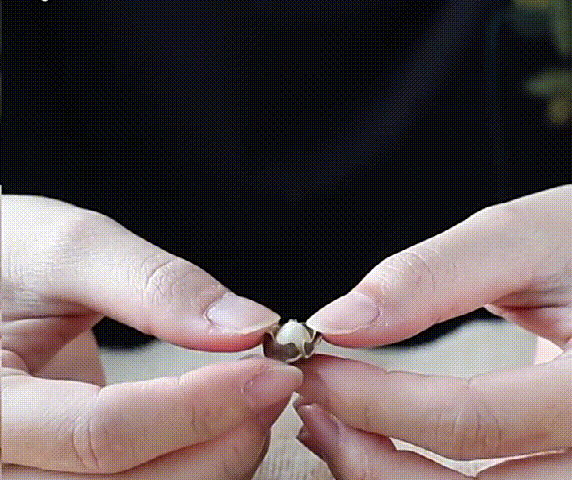 1691900793279242.gif